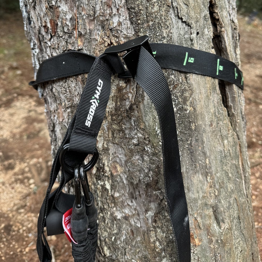 "Sangle de suspension GymKross solidement fixée autour d'un arbre, illustrant la robustesse et la polyvalence de l'ancrage pour des entraînements en extérieur en toute sécurité."